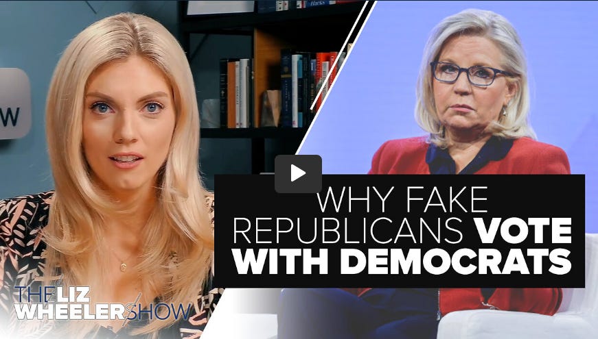 Why Do Red States Govern So Liberal?